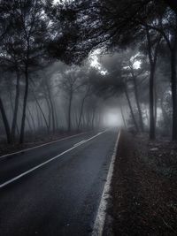 Empty road amidst trees in forest