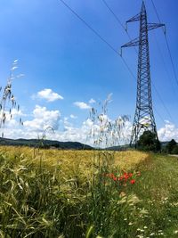 Scenic view of field against clear sky