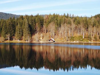 Scenic view of lake by trees against sky