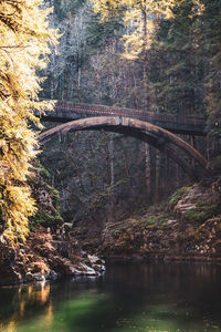 Arch bridge over river against trees