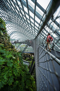 Man working in greenhouse