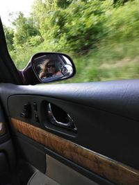 Portrait of woman in car