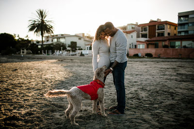 Multi racial couple petting dog on beach at sunset