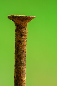 Close-up of rusty metal against green background