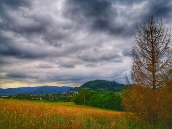 Scenic view of field against sky