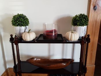 Close-up of potted plant on table