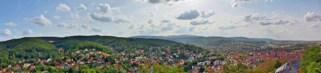 Panoramic view of flowering plants on field against sky