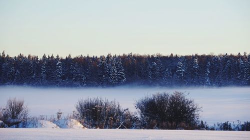 Scenic view of snow covered field against clear sky