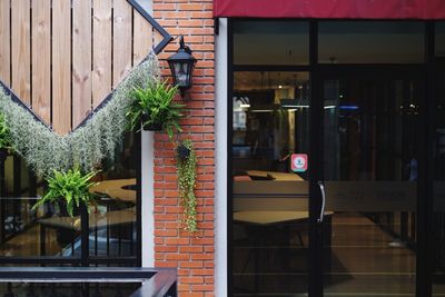 Potted plants on brick wall of restaurant