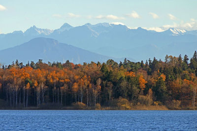 Trees by lake against sky during autumn