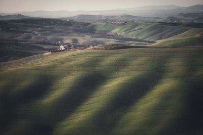 Scenic view of agricultural field