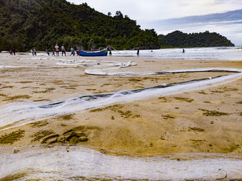 Scenic view of beach against sky