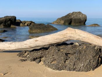 Scenic view of sea shore against sky