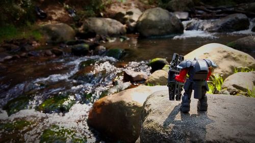 Rear view of man standing on riverbank