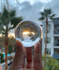 Close-up of hand holding glass with reflection of trees