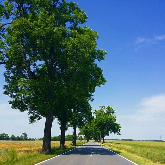 the way forward, road, diminishing perspective, transportation, tree, vanishing point, country road, sky, empty road, grass, tranquility, long, road marking, tranquil scene, landscape, empty, nature, field, blue, growth