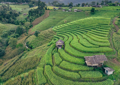 Landscape of green rice terraces amidst mountain agriculture. travel destinations in chiangmai