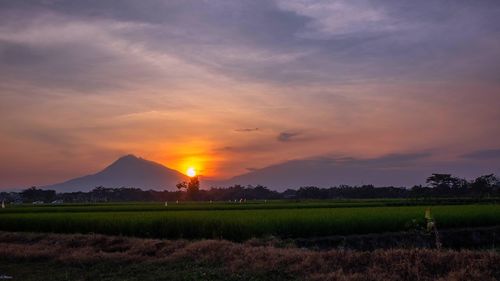 Scenic view of field against sky during sunset