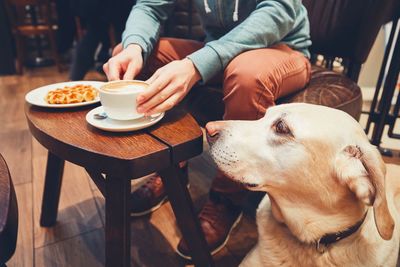 Low section of woman with dog sitting at home