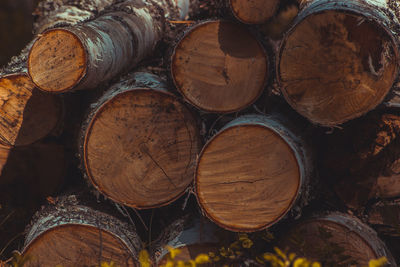 Full frame shot of logs in forest