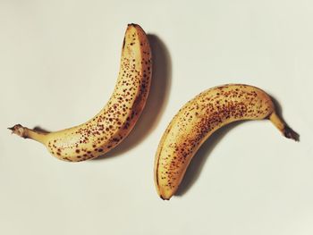 Directly above shot of fruits against white background