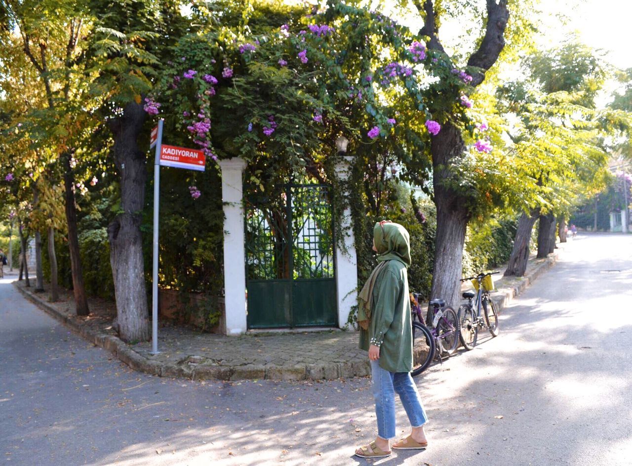 tree, rear view, walking, nature, full length, day, real people, outdoors, one person, beauty in nature, people