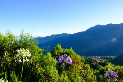 Scenic view of mountains against blue sky