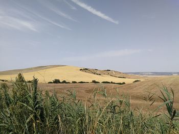 Scenic view of farm against sky