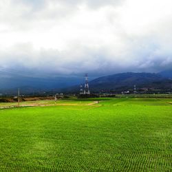 Scenic view of agricultural field against sky