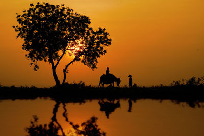 Silhouette birds flying over lake during sunset