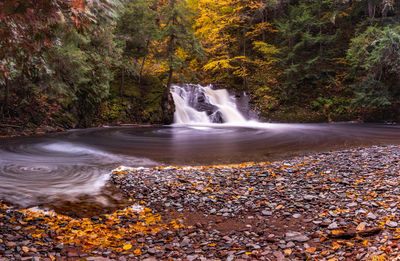 Waterfall in forest