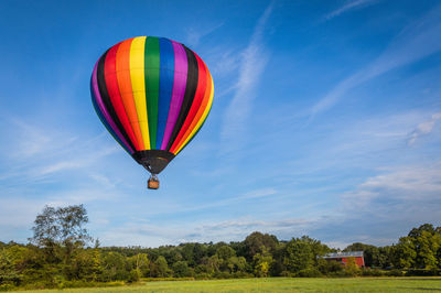 Hot air balloons flying over field against sky