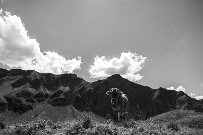 mountain