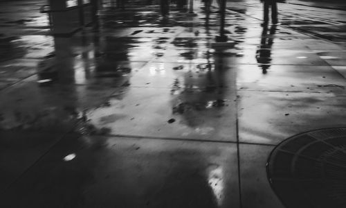 Reflection of trees in puddle