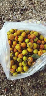 High angle view of fruits in container