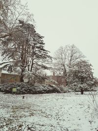 Bare tree against house during winter