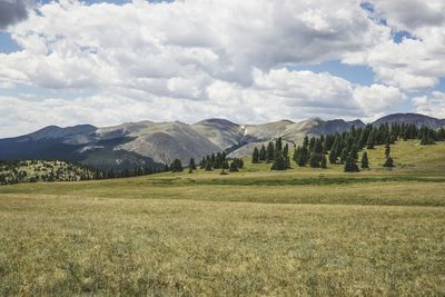 Scenic view of landscape against sky