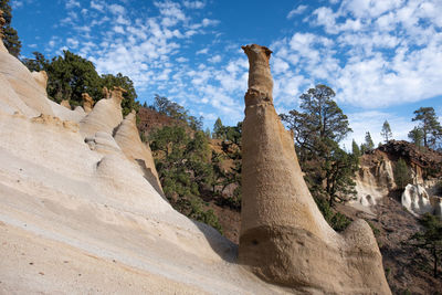Low angle view of trees against cloudy sky