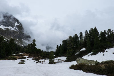 Scenic view of snow covered landscape