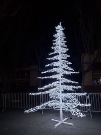 Illuminated christmas tree at night