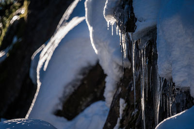 Ice texture. icicles on the edge of the mountain with snow on sunny day.