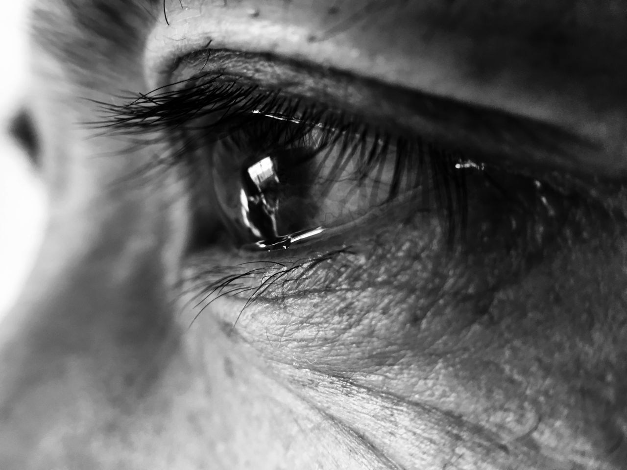 EXTREME CLOSE-UP OF EYE