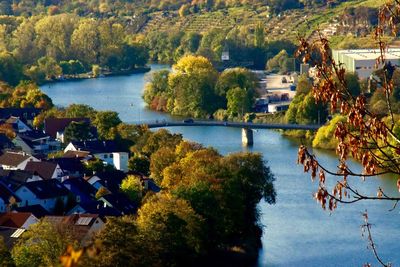 High angle view of trees by lake in city