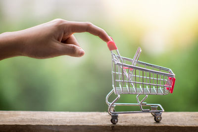 Close-up of woman holding figurine shopping cart 