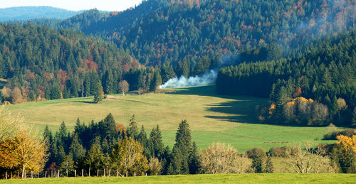 Trees on landscape against sky