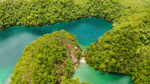 Tropical landscape with blue sea lagoon aerial view, national park, siargao island, philippines. 