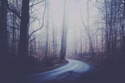Road passing through forest