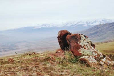 View of rock on field against sky