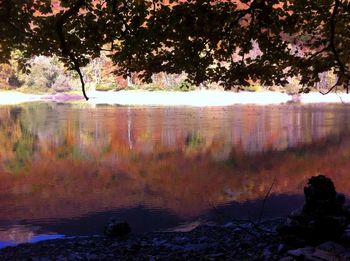 Scenic view of lake in forest against sky