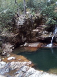 Close-up of water flowing through rocks